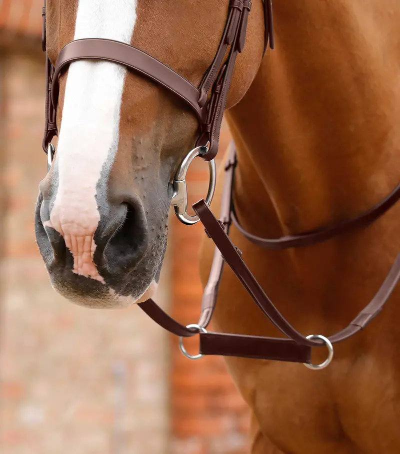 Esperia Irish Martingale Brown 2