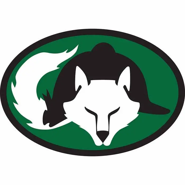 Euro Fox And Helmet Decals 1
