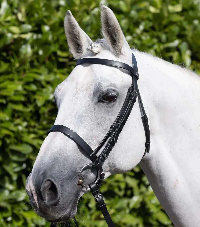 Exercise / Racing Bridle With Plain Caveson Noseband Black 1