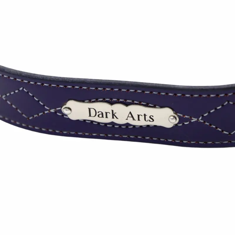 Fancy Belt Plate 1