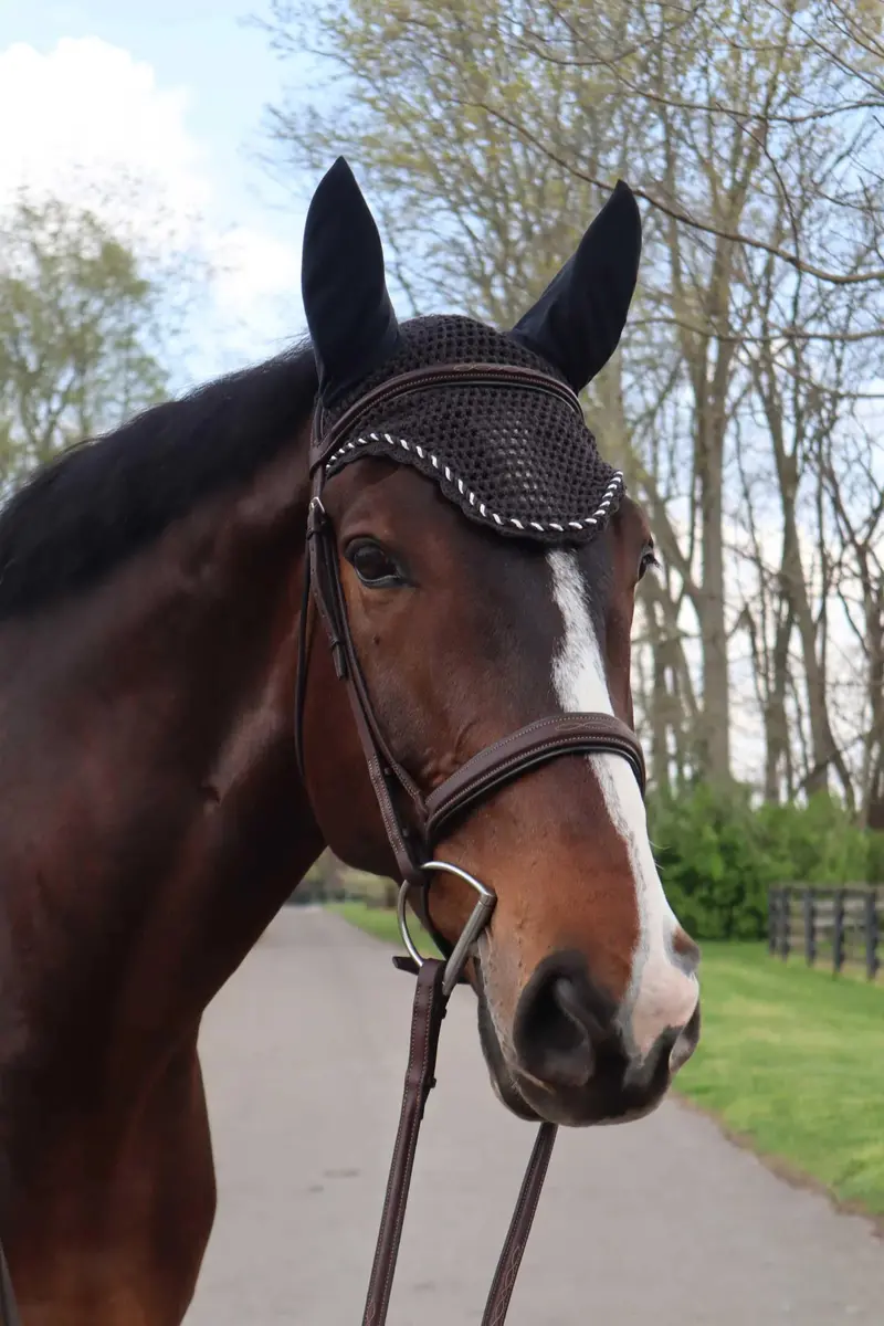 Fenwick Equestrian Liquid Titanium Mesh Ear Bonnet 1