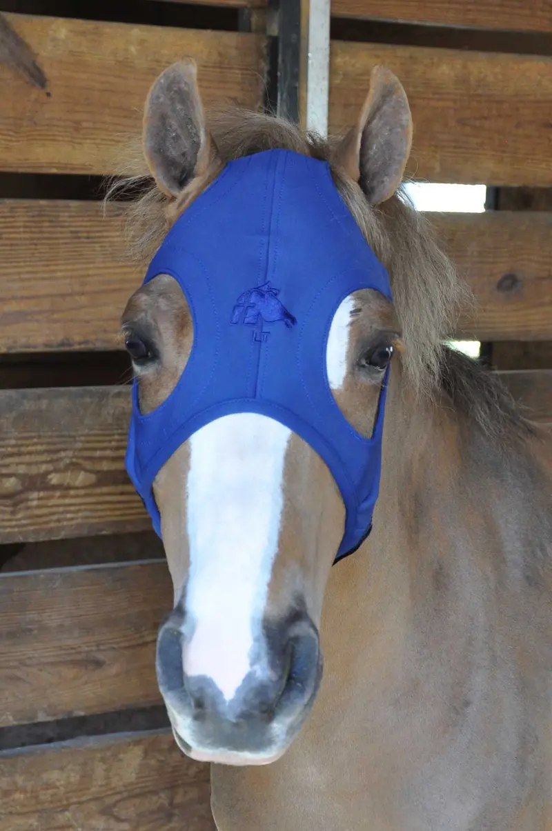 Fenwick Liquid Titanium Horse Mask – Breathable Design