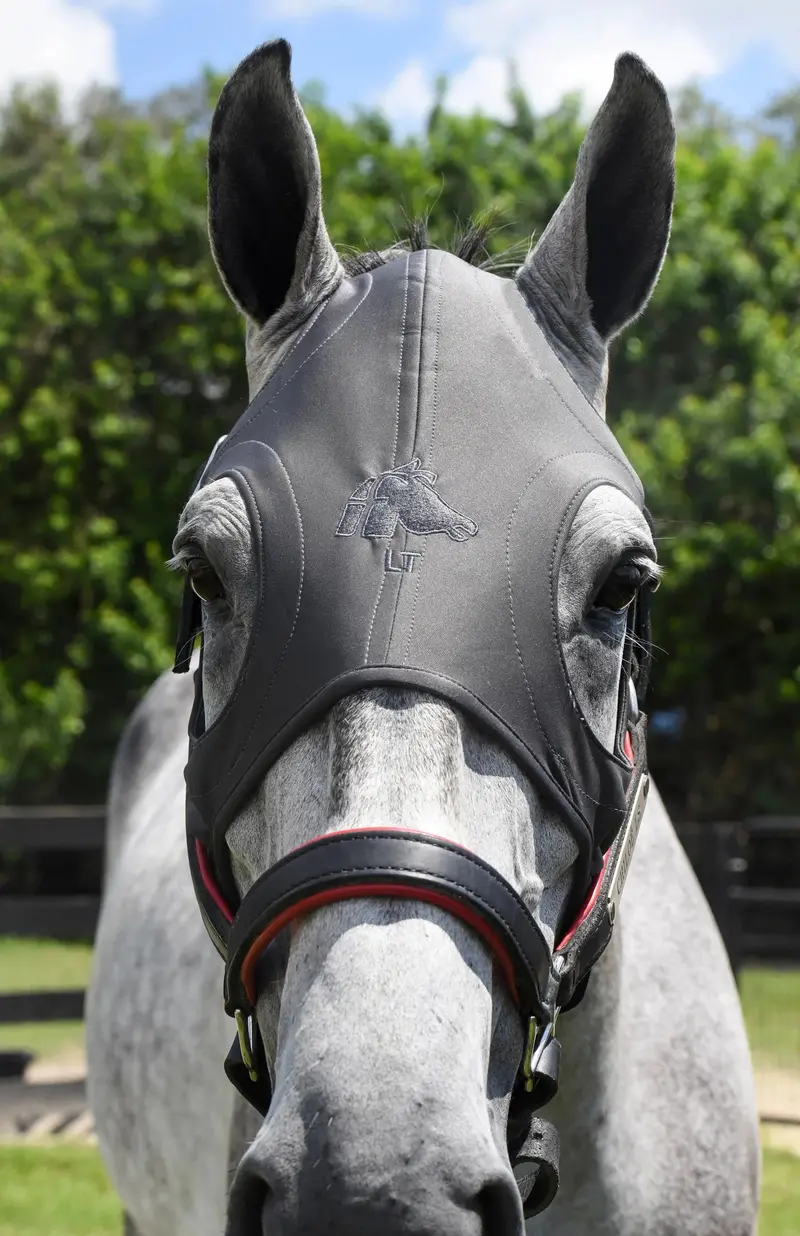 Fenwick Liquid Titanium Horse Mask – Breathable Design