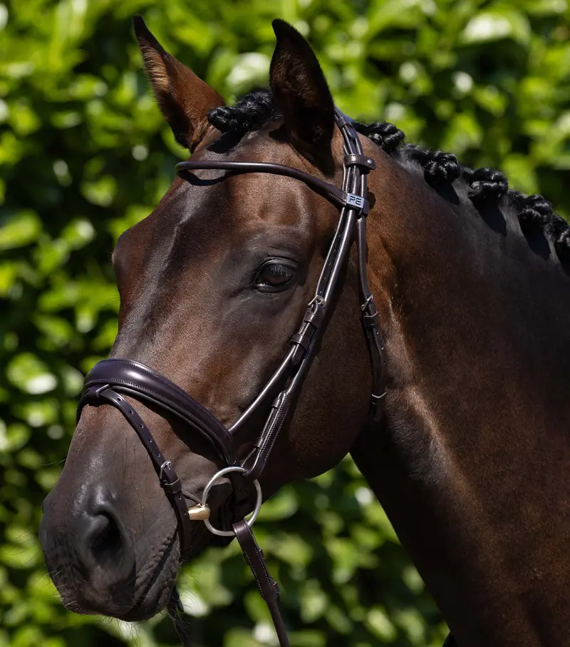 Finetti Rolled Leather Snaffle Bridle Brown 1