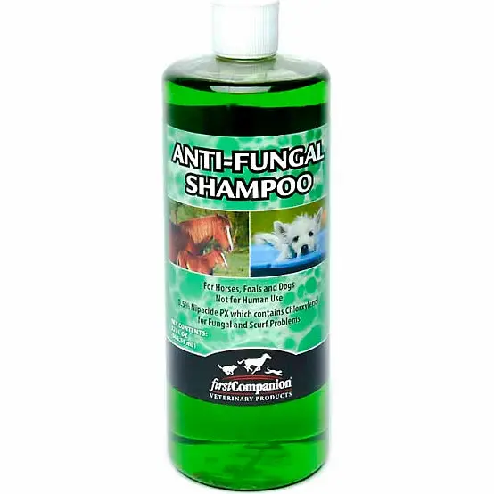 First Companion Anti-Fungal Horse Shampoo 1
