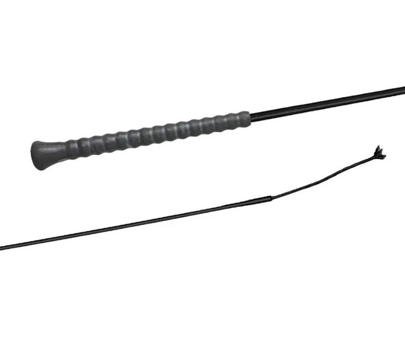Fleck Econline Dressage Whip 1