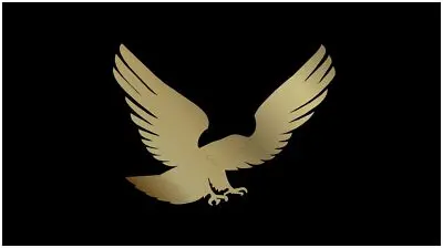 Flying Eagle Carbon Steel License Plate (Carbon Black) 1