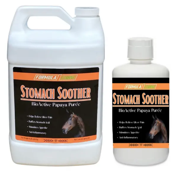 Formula 1 Noni Papaya Stomach Soother 1