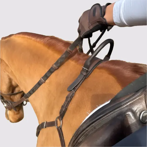 Free Motion Breastplate With Double Neck Strap 2