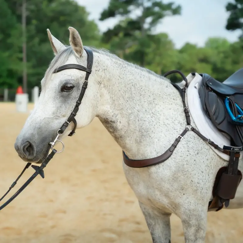 Free Motion Breastplate With Double Neck Strap 5