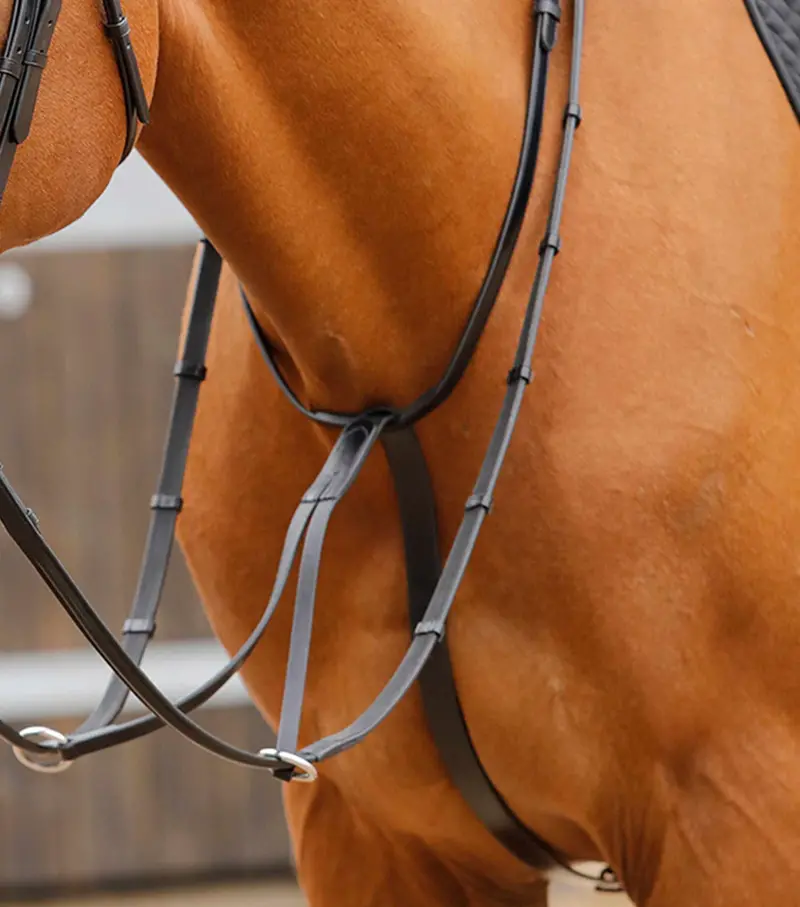 Fuscaldo Running Martingale Black 1
