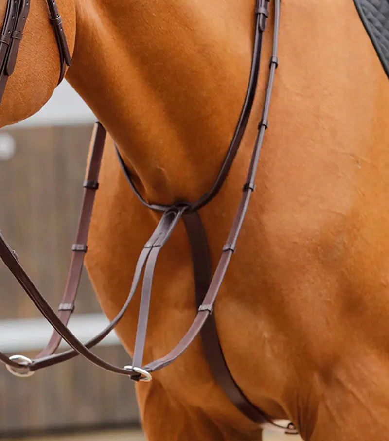 Fuscaldo Running Martingale Brown 1
