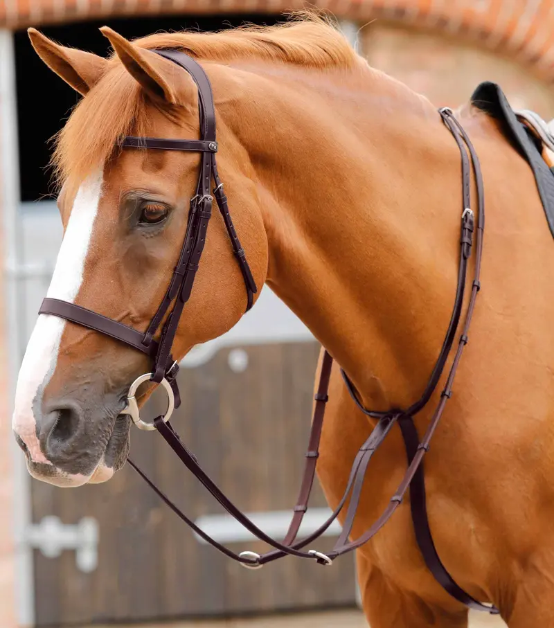 Fuscaldo Running Martingale Brown 2