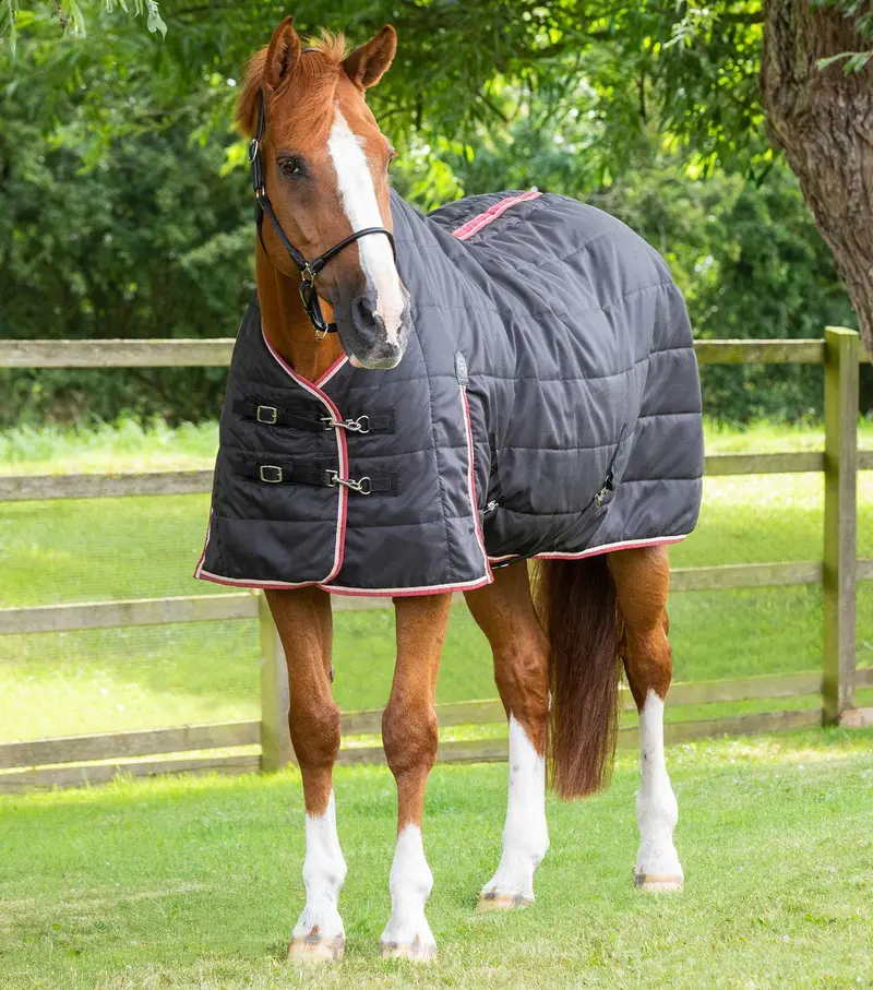 Garissa Stable Rug 100G Black 1