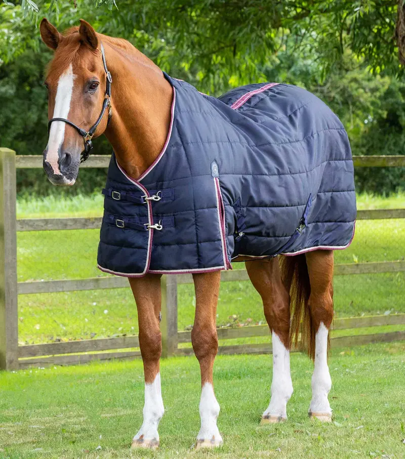 Garissa Stable Rug 100G Navy 1