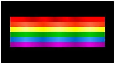 Gay Pride Lazer-Tag Acrylic License Plate (Black) 1