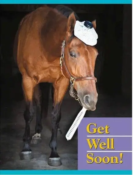 Get Well Card: Get Well Soon Horse Card. 1