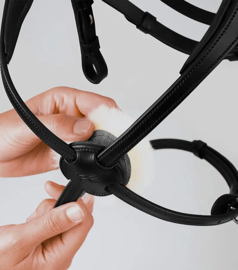 Glorioso Grackle Bridle Black 3
