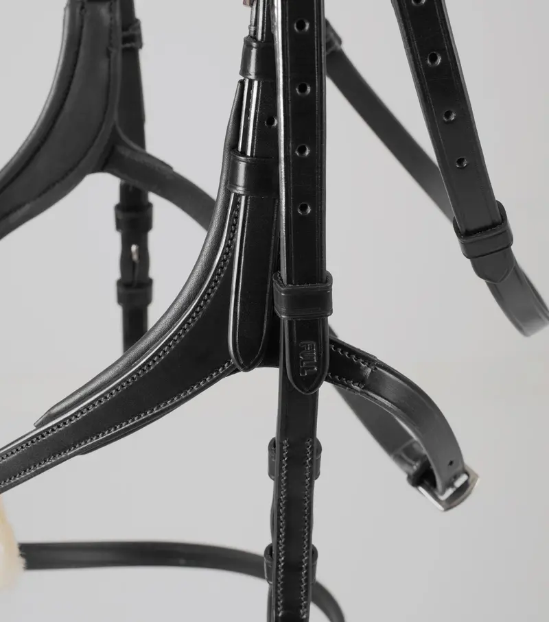 Glorioso Grackle Bridle Black 4