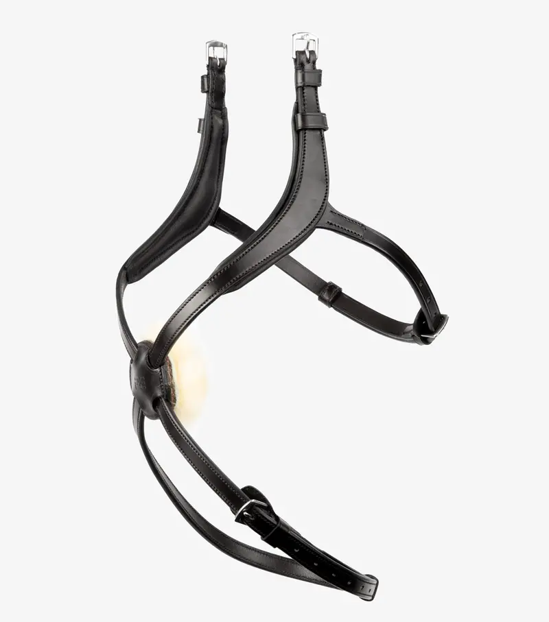 Glorioso Mexican Grackle Noseband Black 3