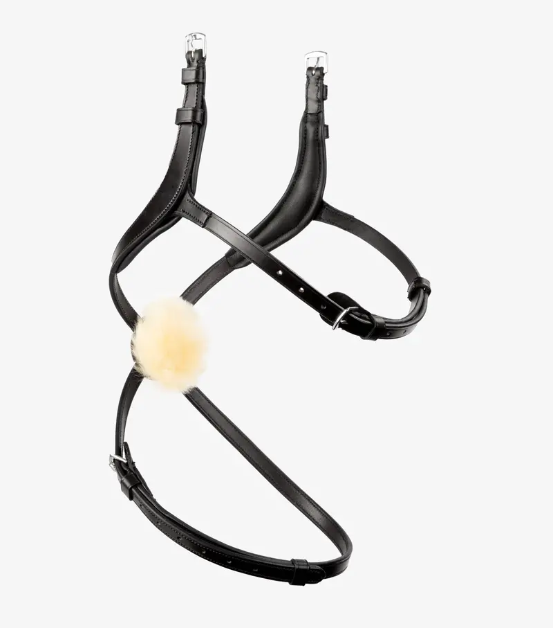 Glorioso Mexican Grackle Noseband Black 4