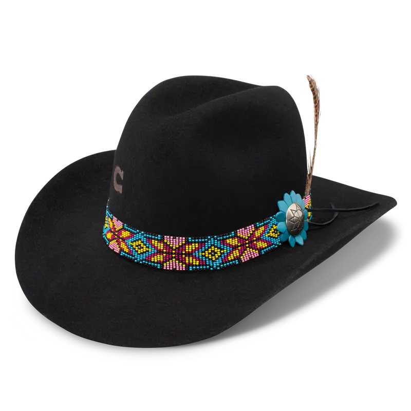 Gold Digger Western Hat 1