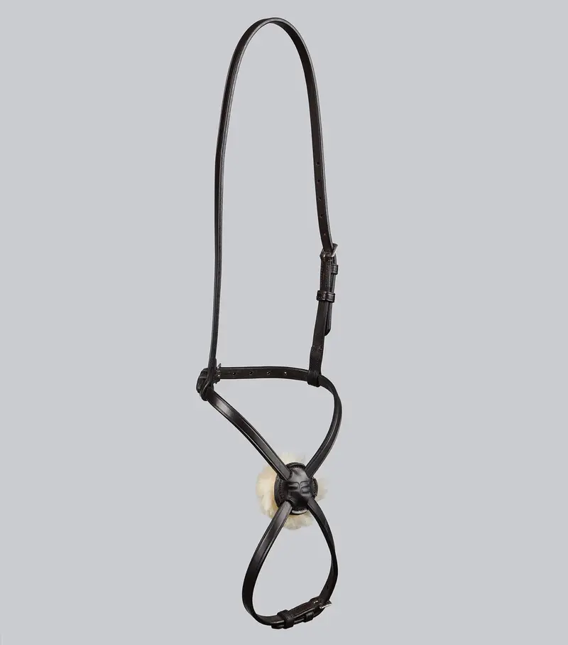 Grackle Noseband For Racing Bridle Dark Havana 1