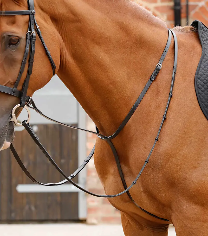 Gressan Standing Martingale Black 1