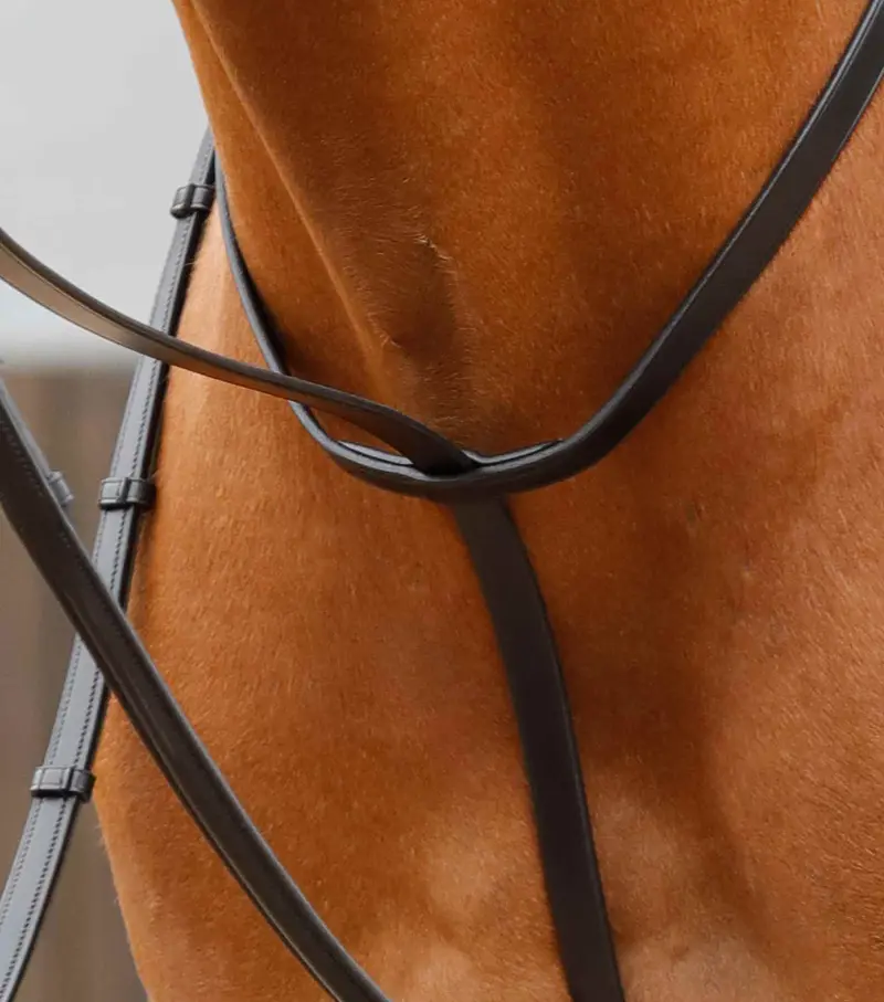 Gressan Standing Martingale Black 2