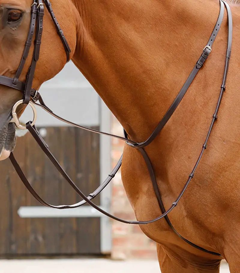Gressan Standing Martingale Brown 1