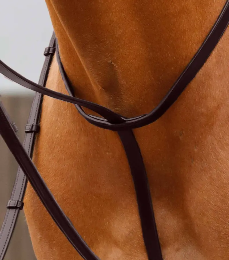 Gressan Standing Martingale Brown 2