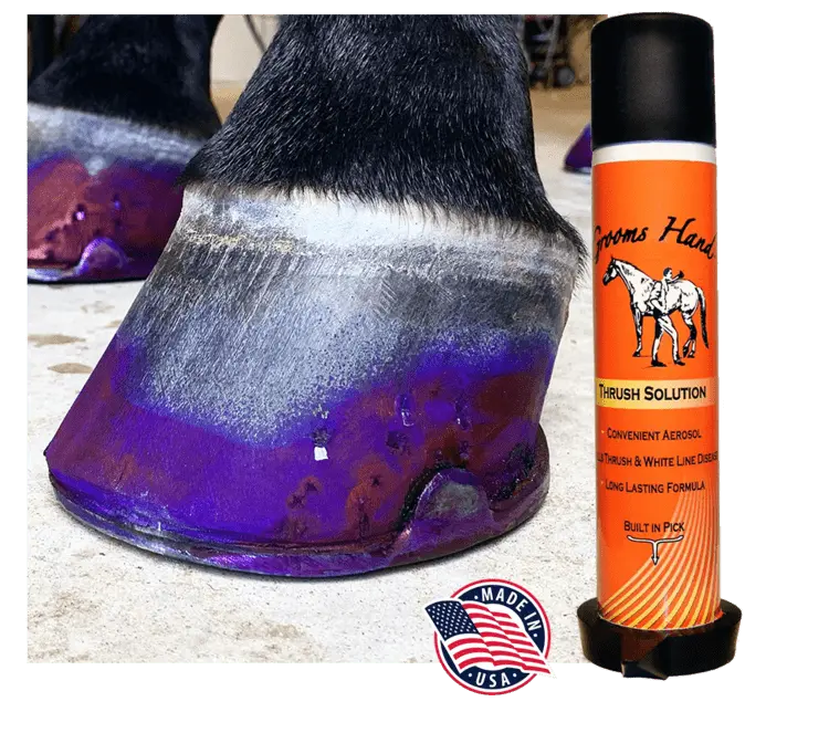 Grooms Hand Thrush Spray 1