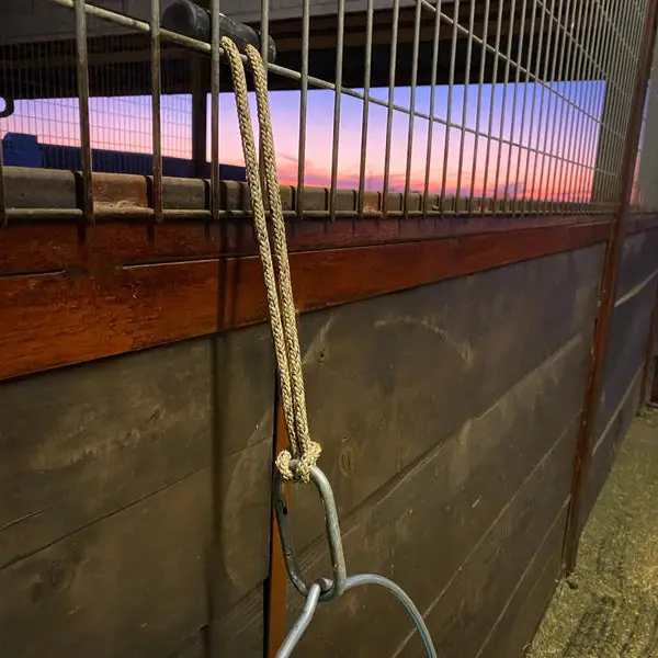 Hay Chix Bucket Strap 1
