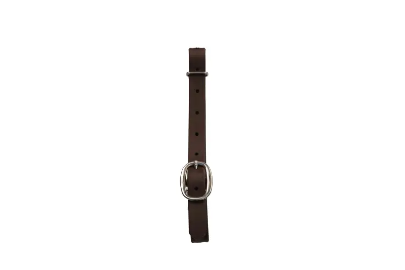 Heavy Duty Brown Biothane Cinch Connector Strap 1