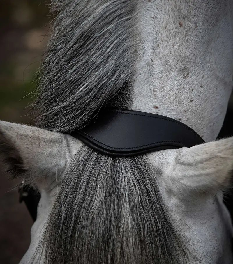 Hennaroso Rolled Anatomic Leather Head Collar Black 2
