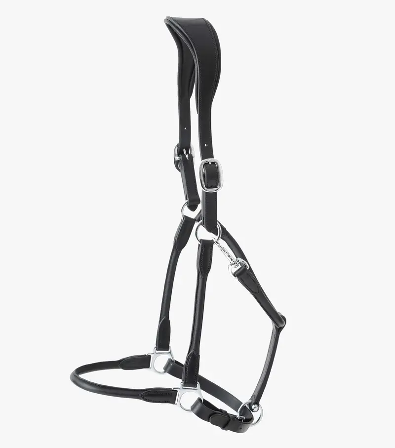Hennaroso Rolled Anatomic Leather Head Collar Black 3