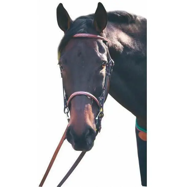 Henri De Rivel Advantage Fancy Raised Snaffle Bridle With Laced Reins 1