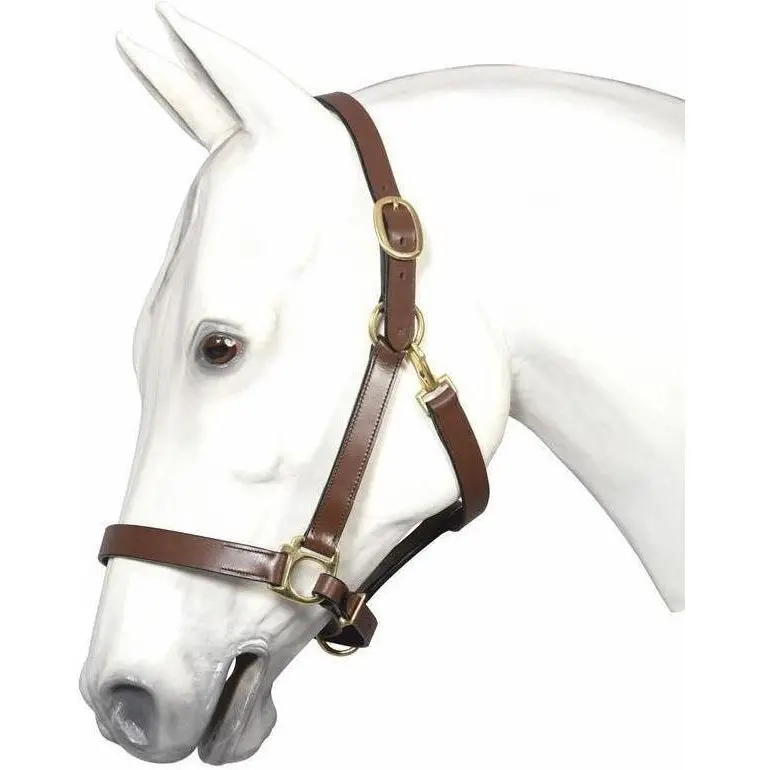 Henri De Rivel Advantage Leather Halter 1