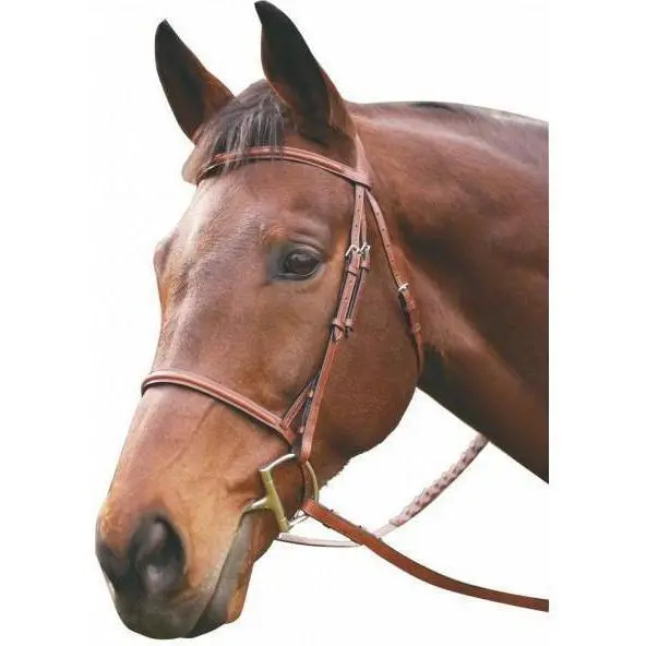 Henri De Rivel Advantage Plain Raised Snaffle Bridle With Laced Reins 1