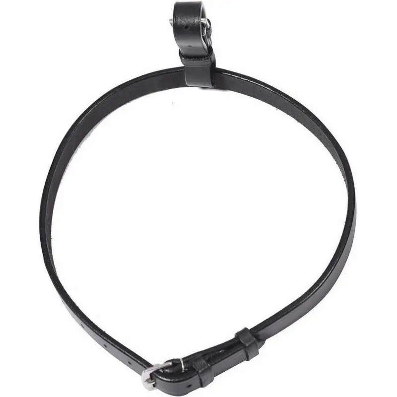 Henri De Rivel Buckle Flash Noseband Converter 1