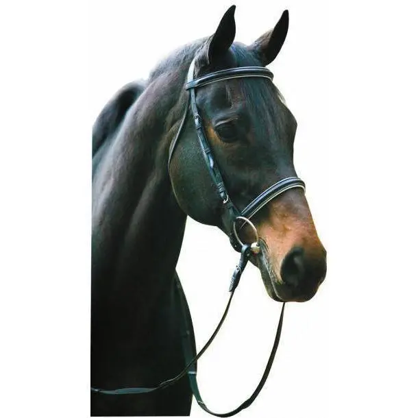 Henri De Rivel Dressage Bridle With Web Reins 1
