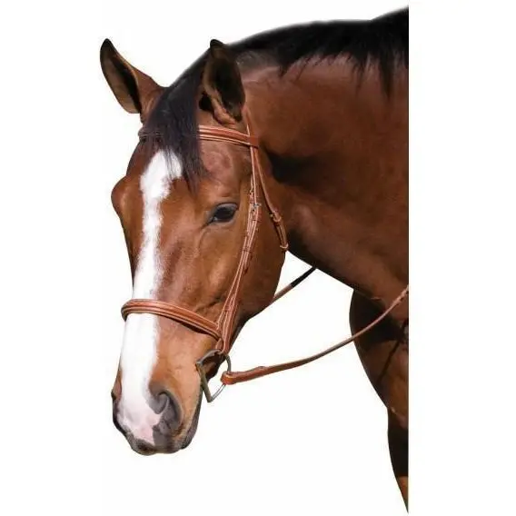 Henri De Rivel Horse Fancy Raised Padded Bridle With Laced Reins 1