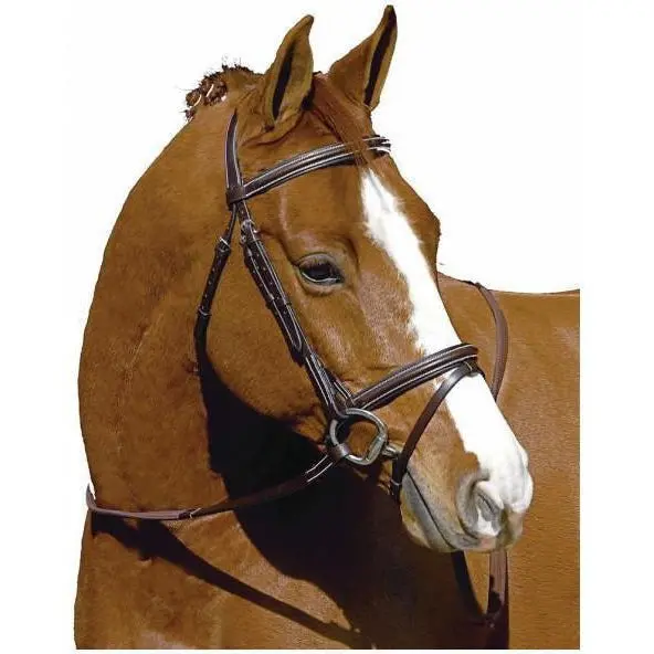 Henri De Rivel Monocrown Event Bridle 1