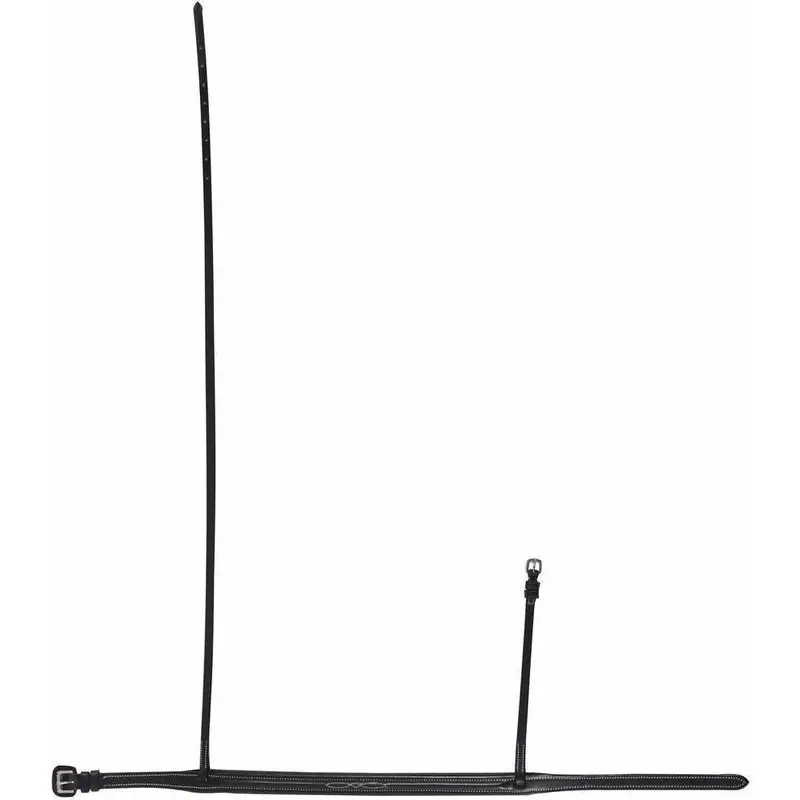 Henri De Rivel Noseband For Traditional Bridles 1