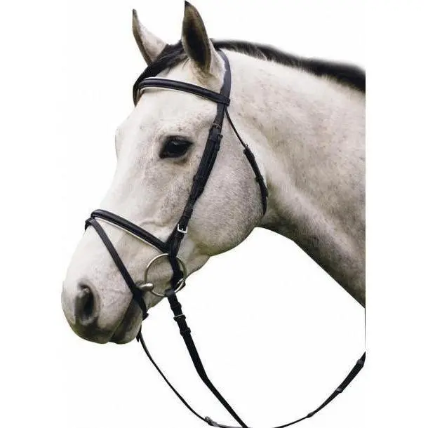 Henri De Rivel Padded Dressage Bridle With Flash And Web Reins 1