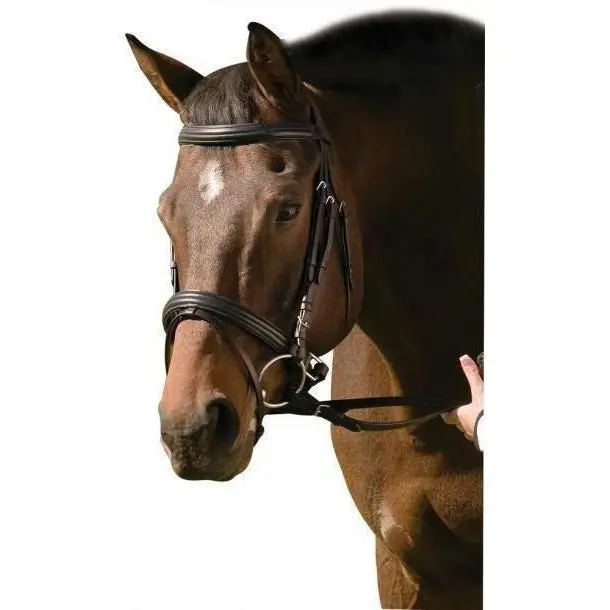 Henri De Rivel Padded Raised Dressage Bridle With Jawband Crank And Flash With Web Reins 1