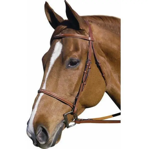 Henri De Rivel Pro Fancy Raised Bridle With Laced Reins 1