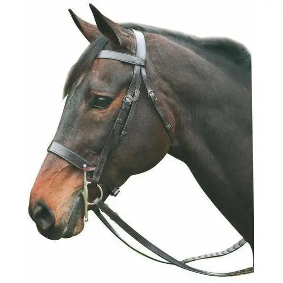 Henri De Rivel Pro Hunt Bridle 1