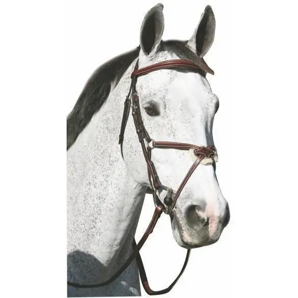 Henri De Rivel Pro Mono Crown Raised Figure 8 Bridle With Rubber Reins 1