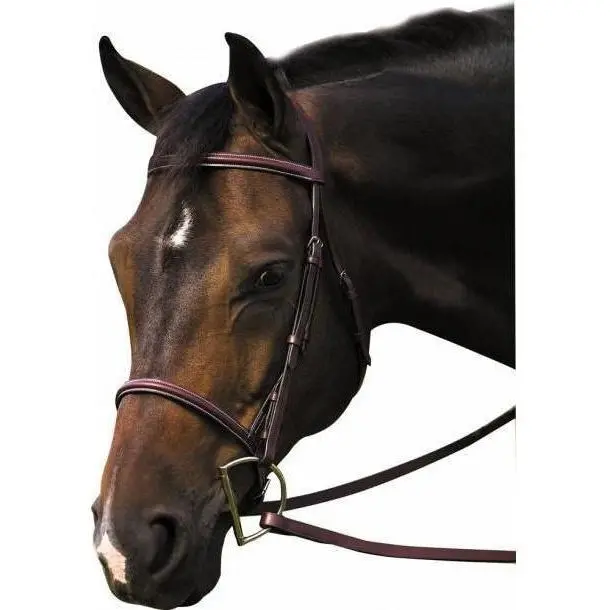 Henri De Rivel Pro Plain Raised Bridle With Laced Reins 1